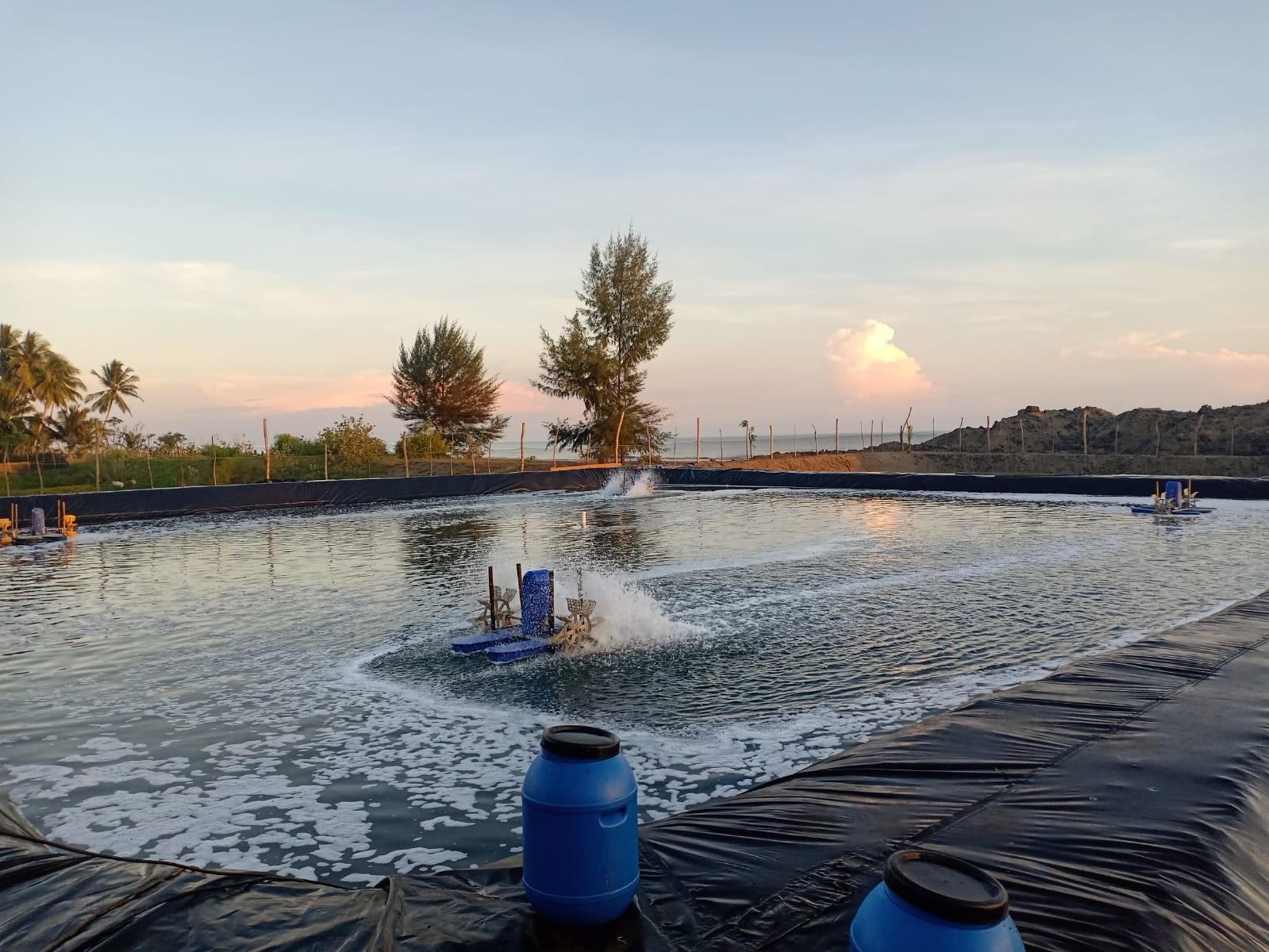 AGS Geomembrane, Agsgeomembrane, Distributor geomembrane, Geomembrane HDPE distributor, Distributor geomembrane murah, Supplier geomembrane, Geomembrane untuk proyek, Geomembrane harga grosir, Geomembrane kualitas tinggi, Distributor geomembrane terpercaya, Geomembrane PVC distributor, Geomembrane roll distributor, Geomembrane pertanian supplier, Distributor geomembrane untuk limbah, Geomembrane untuk kolam distributor, Geomembrane industri supplier, Pengiriman geomembrane, Geomembrane terbaik distributor, Geomembrane murah berkualitas, Distributor geomembrane terdekat