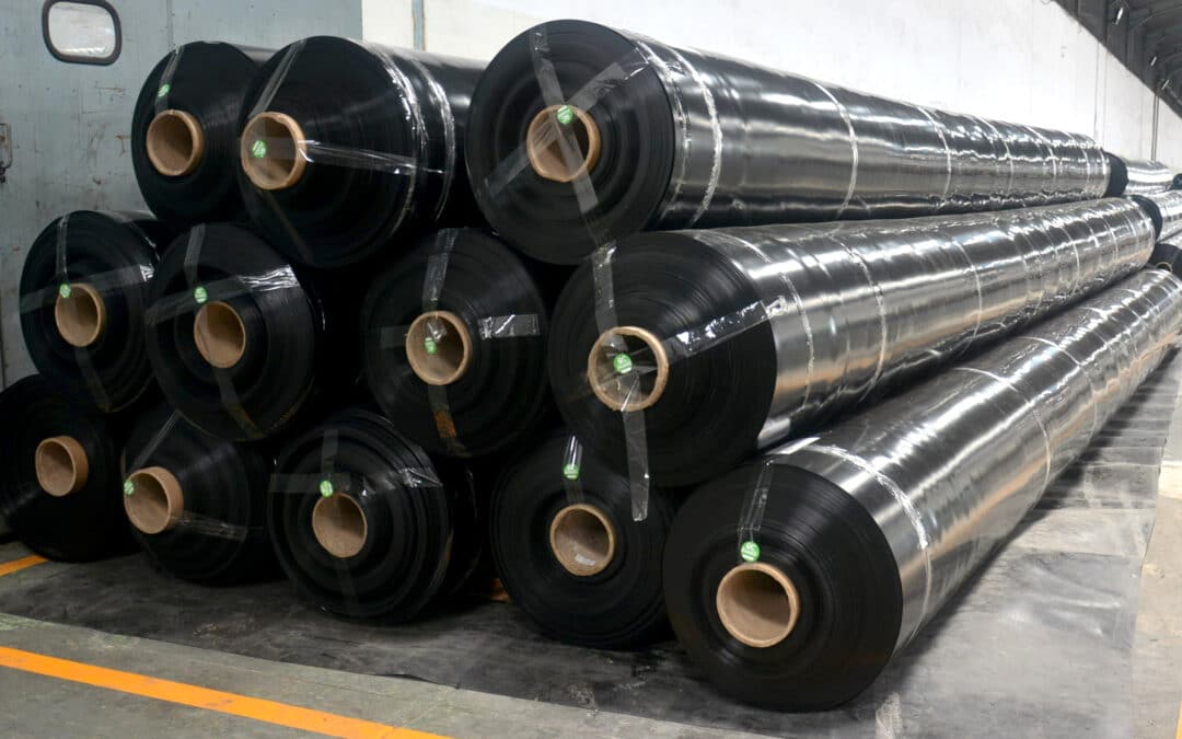 Geomembrane AGS, AGS Geomembrane, Agsgeomembrane, Distributor geomembrane, Geomembrane HDPE distributor, Distributor geomembrane murah, Supplier geomembrane, Geomembrane untuk proyek, Geomembrane harga grosir, Geomembrane kualitas tinggi, Distributor geomembrane terpercaya, Geomembrane PVC distributor, Geomembrane roll distributor, Geomembrane pertanian supplier, Distributor geomembrane untuk limbah, Geomembrane untuk kolam distributor, Geomembrane industri supplier, Pengiriman geomembrane, Geomembrane terbaik distributor, Geomembrane murah berkualitas, Distributor geomembrane terdekat