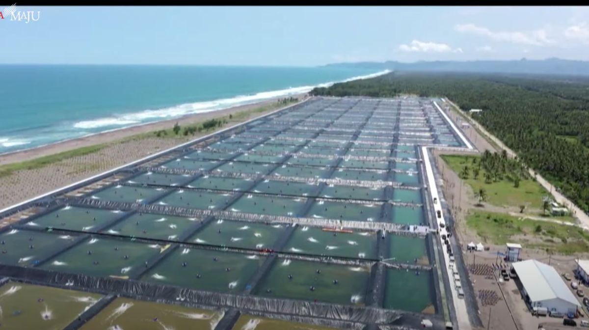 AGS Geomembrane, Agsgeomembrane, Distributor geomembrane, Geomembrane HDPE distributor, Distributor geomembrane murah, Supplier geomembrane, Geomembrane untuk proyek, Geomembrane harga grosir, Geomembrane kualitas tinggi, Distributor geomembrane terpercaya, Geomembrane PVC distributor, Geomembrane roll distributor, Geomembrane pertanian supplier, Distributor geomembrane untuk limbah, Geomembrane untuk kolam distributor, Geomembrane industri supplier, Pengiriman geomembrane, Geomembrane terbaik distributor, Geomembrane murah berkualitas, Distributor geomembrane terdekat